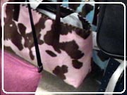 handbag